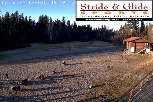 view from CNSC_1: Main Lodge on 2026-10-25