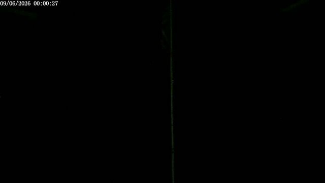 time-lapse frame, F1903P webcam
