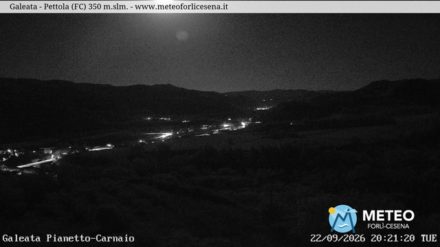 Galeata animated GIF
