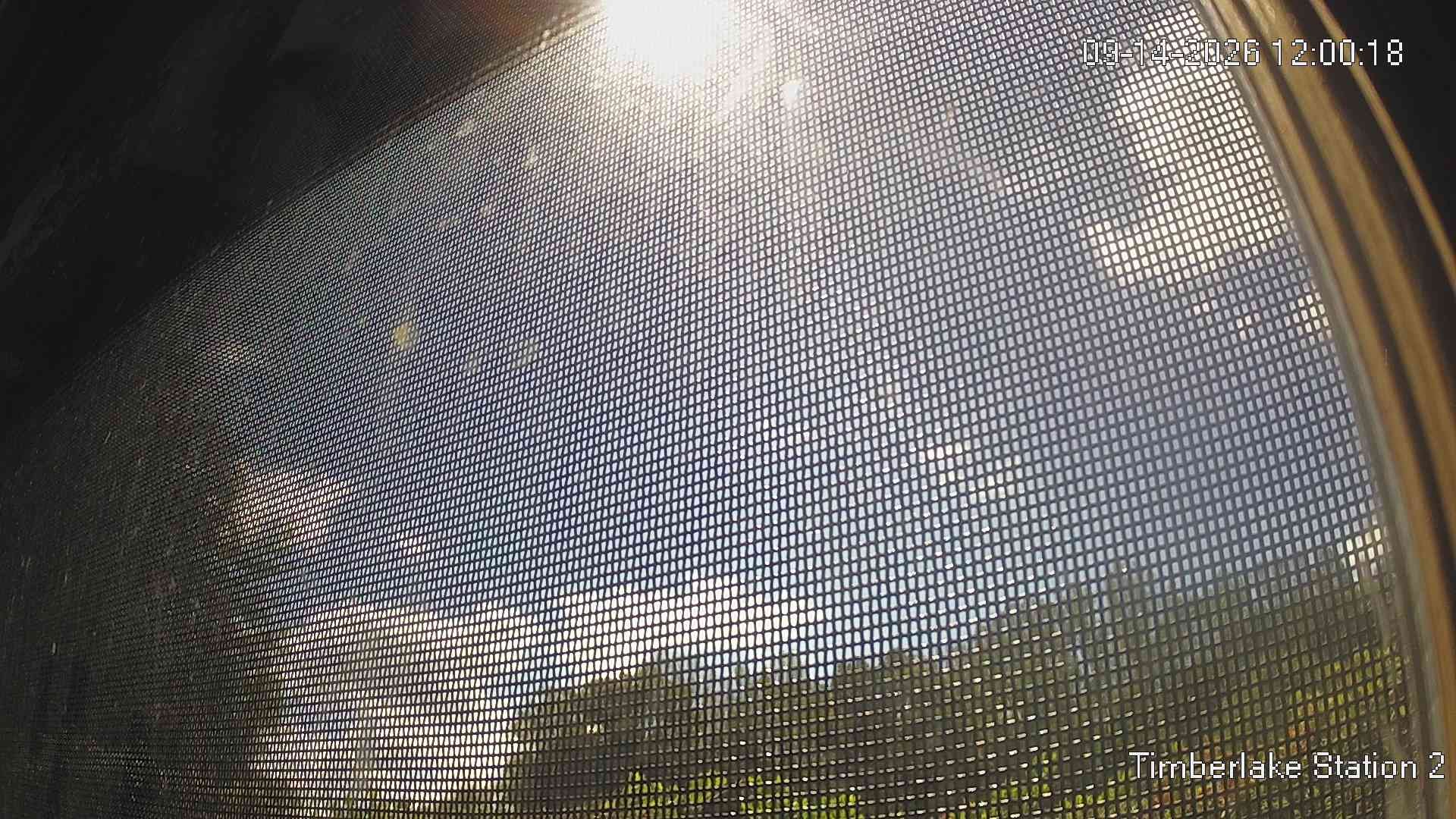 view from Timberlake Station 2 on 2026-09-14