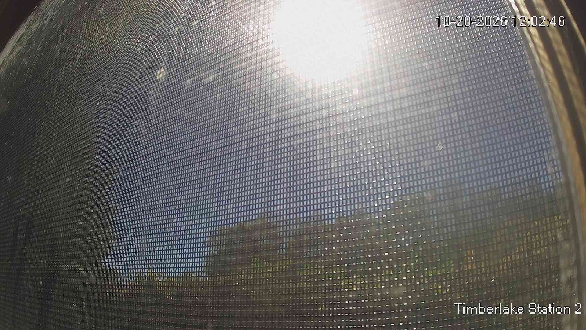 view from Timberlake Station 2 on 2026-10-20