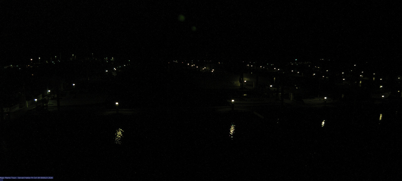 time-lapse frame, Seward Harbor webcam