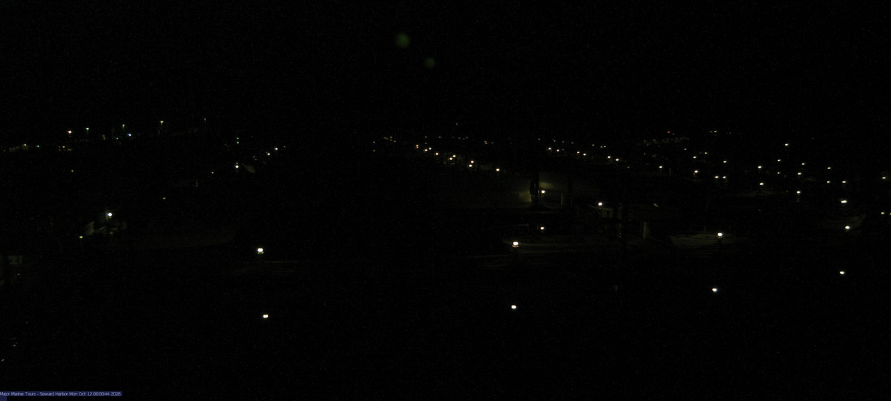time-lapse frame, Seward Harbor webcam