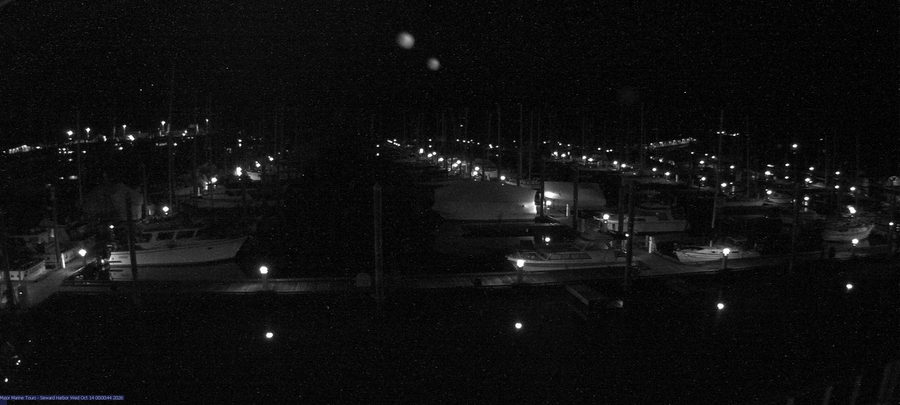 time-lapse frame, Seward Harbor webcam