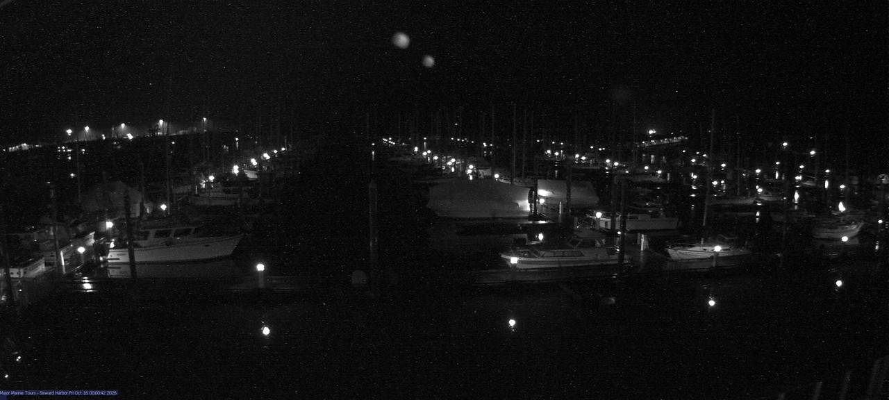 time-lapse frame, Seward Harbor webcam